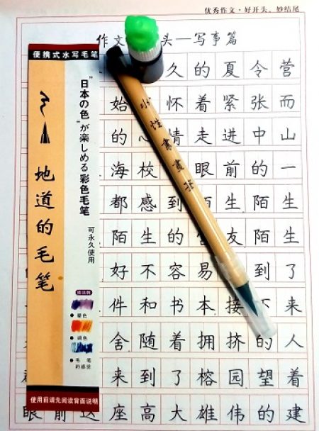 Penna-pennello per scrivere i caratteri cinesi.